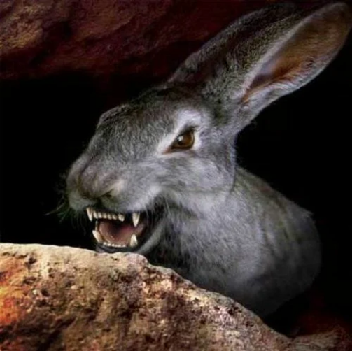 Притчи о Зайцах, которые хотели стать Царями